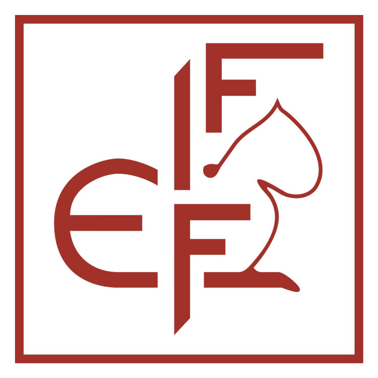 FIFe